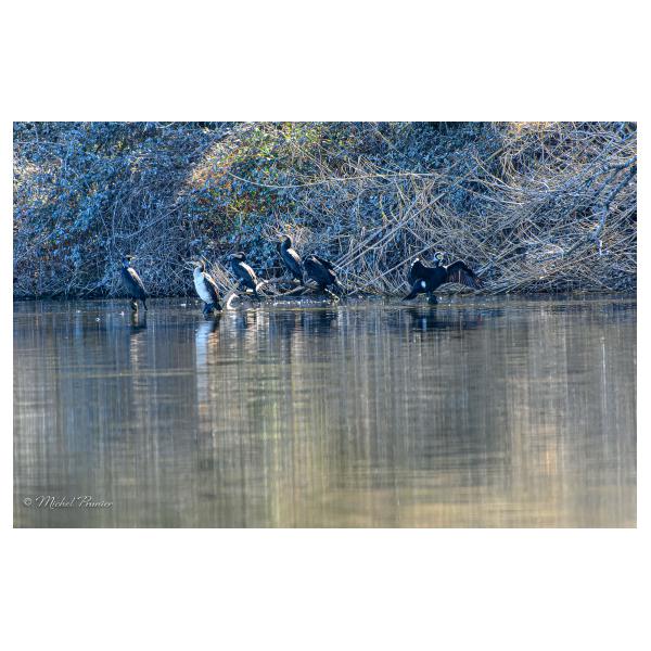 PHOTO84, CLUB, 84 , LUBERON